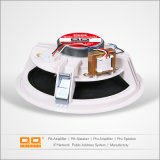 OEM Powered PA Speakers with CE