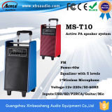 Guangzhou Factory Single 8inch PA Portable Speaker with Battery