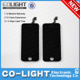 Wholesale Price for Mobile Phone Parts LCD Screen for iPhone 5s
