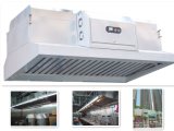 Range Hood with Built-in Electrostatic Air Filter for Commercial Kitchen Fume Extraction