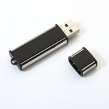 Custom Promotional Gift USB Flash Drive (SMT361)