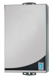 Gas Water Heater with Stainless Steel Panel (JSD-C5)