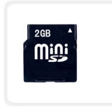 Mini SD Card-1