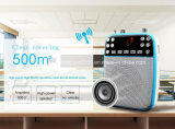 Speaker with MP3 Player/Loudspeaker/Amplifier (F73)