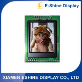 TFT LCD Display with Size 12.1