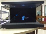 10.4inch 3D Advertising Player