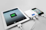 12000mAh Mobile Phone Wall Charger and USB Cable (AM-PB04)