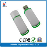 8GB Popular Plastic USB Flash Drive