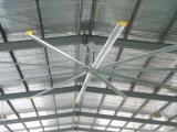 4.8m Large Hvls Ceiling Fans for Factory