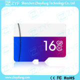 Colorful Design 16GB Class 10 Micro SD Memory Card (ZYF6036)