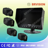 Rear View System with CCD Camera