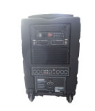 Pl-10 PA Speaker Multi-Function Amplifier Professional