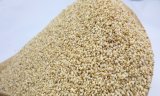 Organic Sesame with Perfect Quality