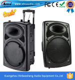 Hot Model Portable Trolley Speaker with USB SD Bluetooth FM 12 15 Inch Woofer