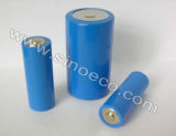 Capacity Type Lithium Thionyl Chloride Battery Dry Cell (3.6 V) Li-Socl2 Battery