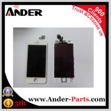 Factory Price Mobile Phone LCD for iPhone 5c