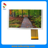 6.2 Inch TFT LCD Display with Brightness 350 CD/M2 (PS062DWPA0121-D01)