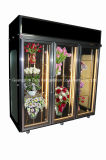 Flower Glass Display Refrigerator with 5 Adjustable Shelves