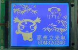 320240 LCD China LCD Display Manufacturer