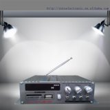 Mini Car Amplifier Mini Stereo Amplifier Mini Audio Amplifier Tl-V11