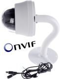 OEM Mini Network Camera with FCC and CE Approved (BQL/FeX39-10/N)