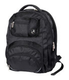 Laptops Backpack (DSP-LB-B0008)