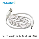 I Phone USB Wall Charger Date Cable