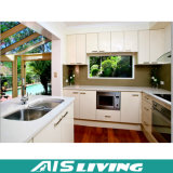 Small Design Kitchen Cabinet Furniture Electric Appliance (AIS-K084)