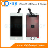 AAA Quality Screen for iPhone 5s Wholesaler From China