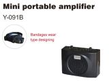 Mini Portable Amplifier
