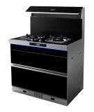 Integrated Cooker with Double Stoves