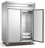 Gn Plate Kitchen Refrigerator, Double Door Gn Plate Kitchen Refrigerator