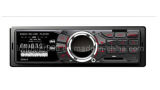 Car WMA/MP3/Radio/ USB/SD Radio Player (LST-C1029U)