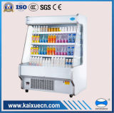 Upright Cooler Gas Refrigerator for Sale