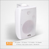 OEM Manufacturers Professional Wall Speaker with CE