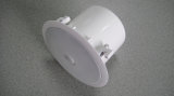 Professional Audio Ceiling Speaker with Dome