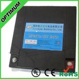 CE Certificate Solar Battery LiFePO4 Batteries 12V 24ah