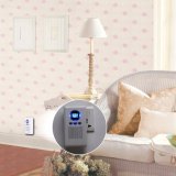 100mg/H Cycle Working Ozone Generator Air Purifier
