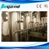Hot Sale Mineral Water Purifier with RO System