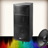QS-1580 15inches Outdoor Two-Way Active Loudspeaker