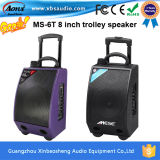 Outdoor KTV, 8 Inch Trolley Speaker with Wrieless Microphone