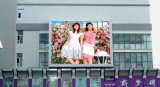 Factory Direct Price Outdoor Full Color LED Display P16