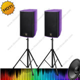 Dw-10 2.1 Stage Karaoke Hi Fi Speaker Sound Box