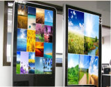 32inch Wall Mounted LCD Display