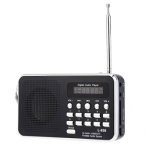 Mini Loudsound FM Radio Digital Speaker