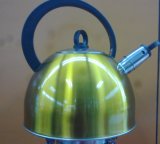 High Quality Colorful Stainless Steel Kettle