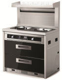 Integrated Stove with Two Induction Cookers