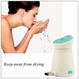 New Beauty Product Portable USB Air Humidifier Purifier