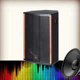 Ds-1350 Single 10 Inch 2-Way 2.0 Multimedia Speaker