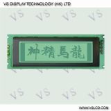 DOT Matrix LCD Display (VS24064)